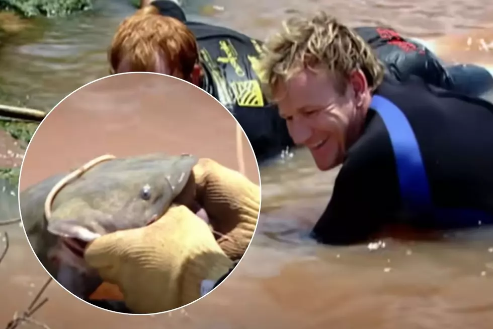 Remember When Gordon Ramsay Went Noodling In Oklahoma?
