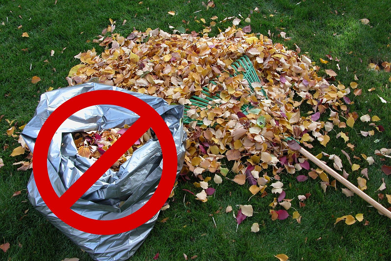 How to Bag Autumn Leaves