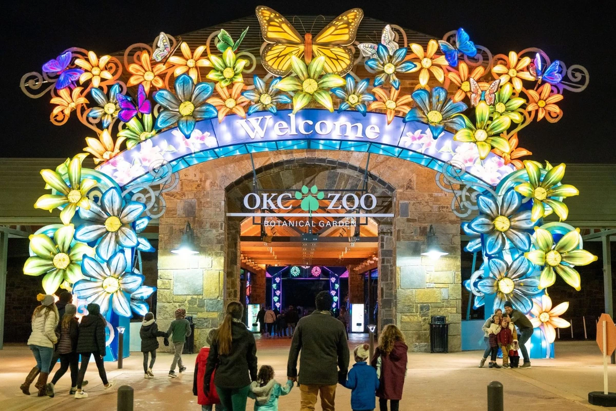 Go On A Holiday Adventure At Oklahoma City Zoo s Safari Lights go-on-a-holiday-adventure-at-oklahoma-city-zoo-s-safari-lights