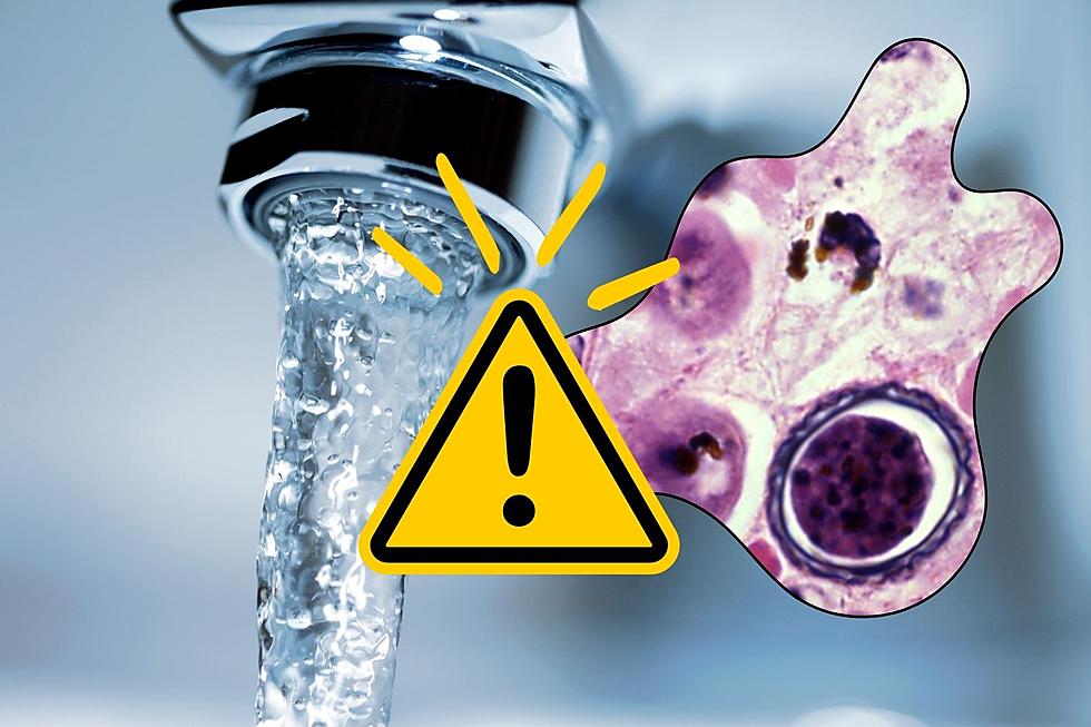 Another Brain-Eating Amoeba Found Lurking in America’s Tap Water