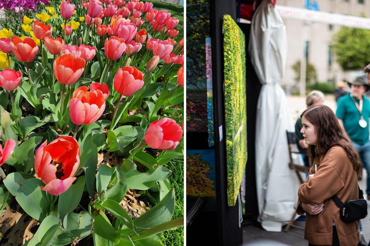 Oklahoma Spring Here Are The Best Spring Festivals in Oklahoma