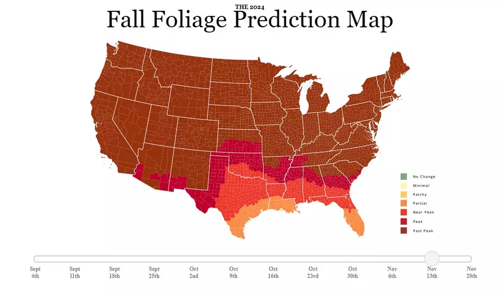 American Forests Website Screenshot