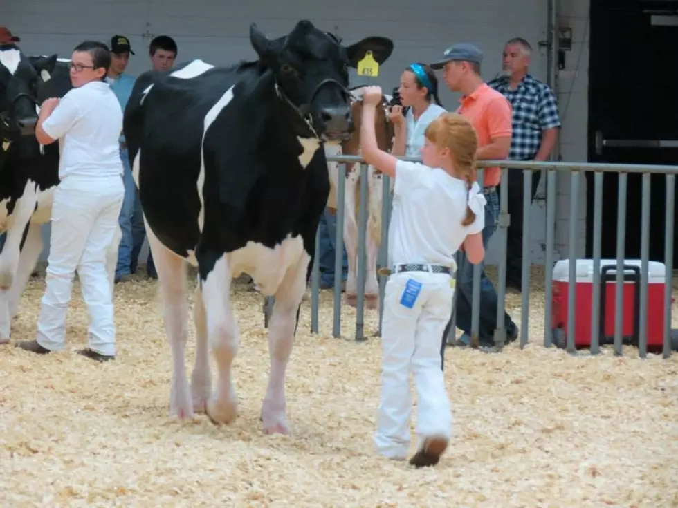 What To Expect At The Comanche County Fair In Lawton