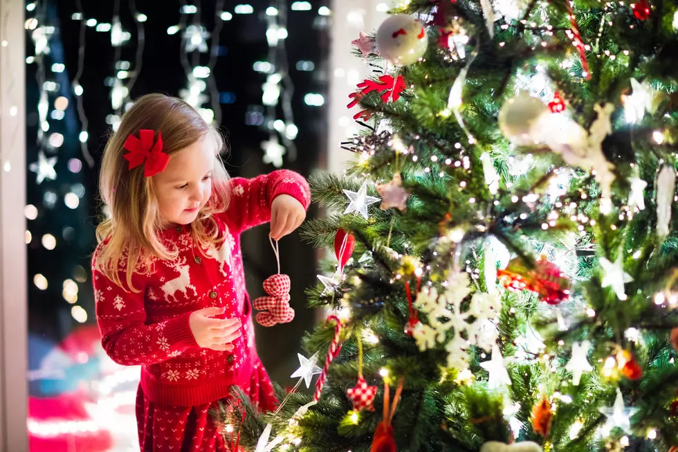 What Are Your Absolute Favorite Christmas Ornaments To Put On The Tree?