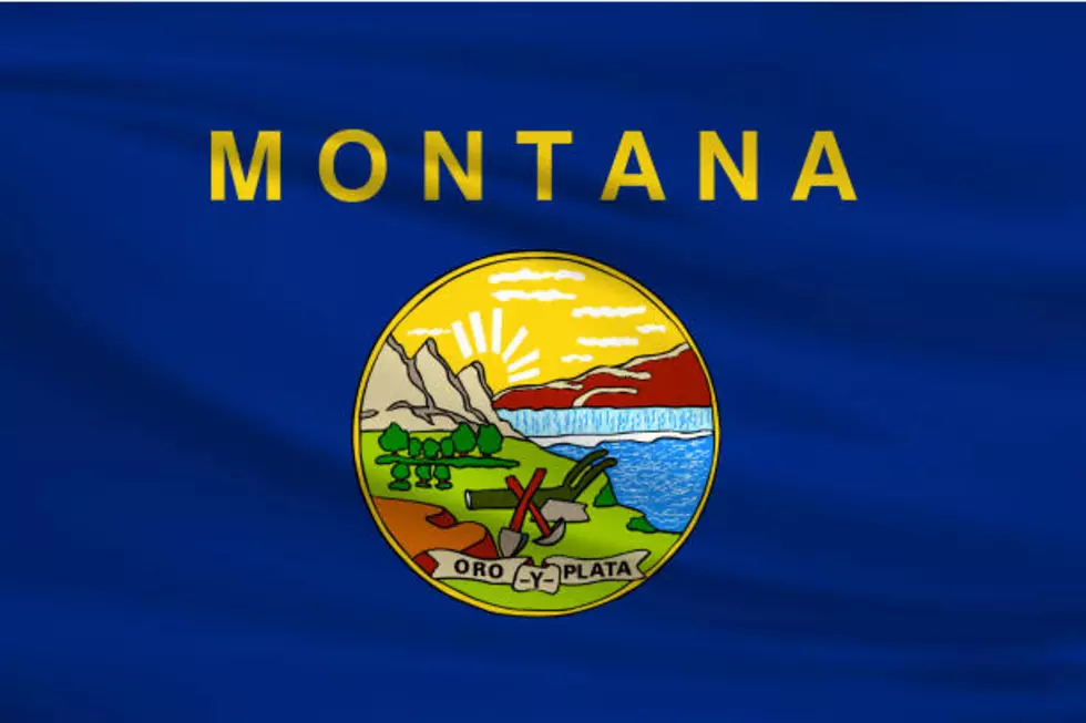 Montana State Flag