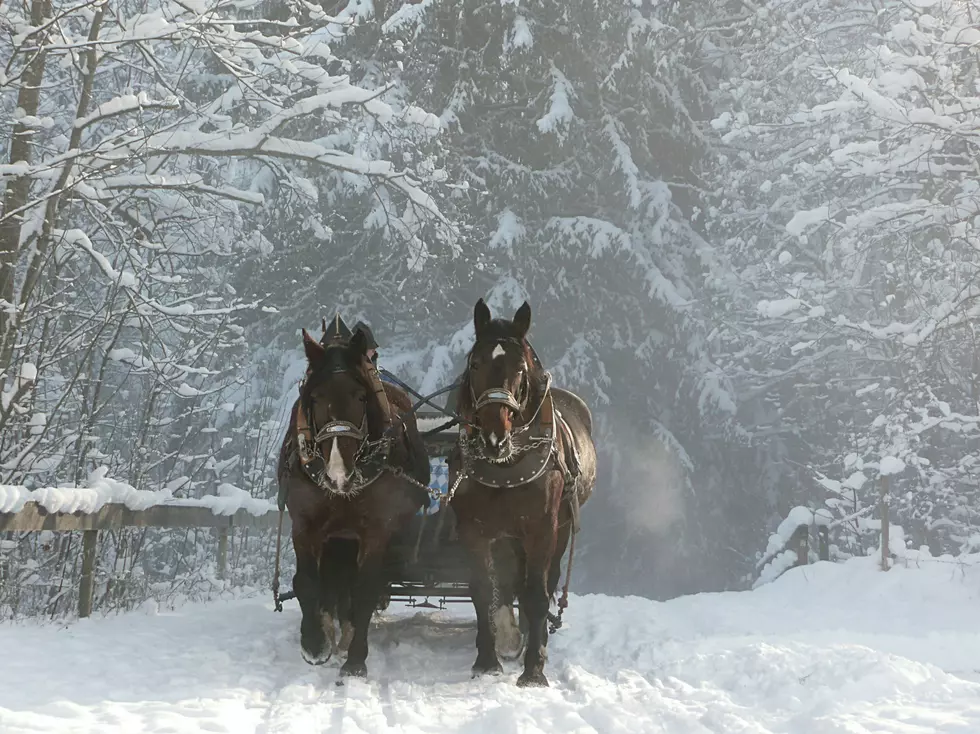 It’s lovely weather for a sleigh ride together in Montana
