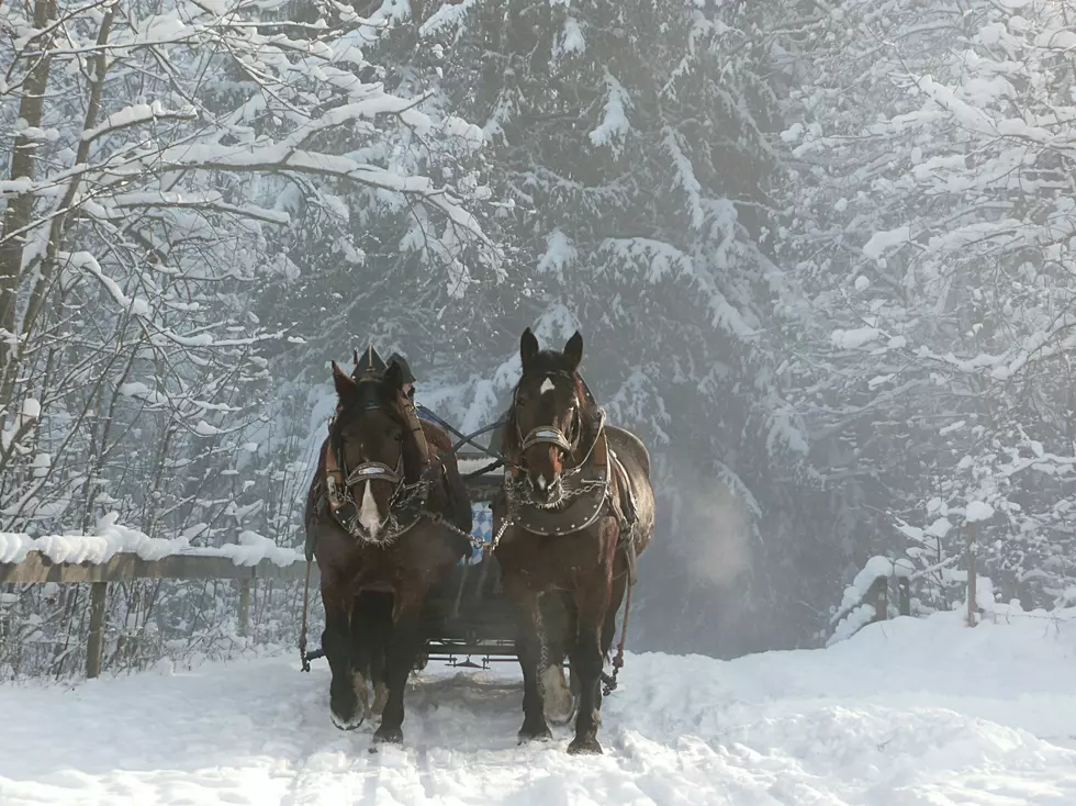 It's lovely weather for a sleigh ride together in Montana