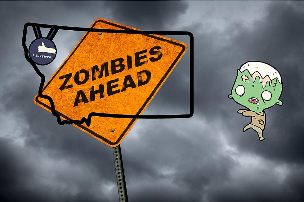 What States Have The Best Chance Of Surviving a Zombie Apocalypse?