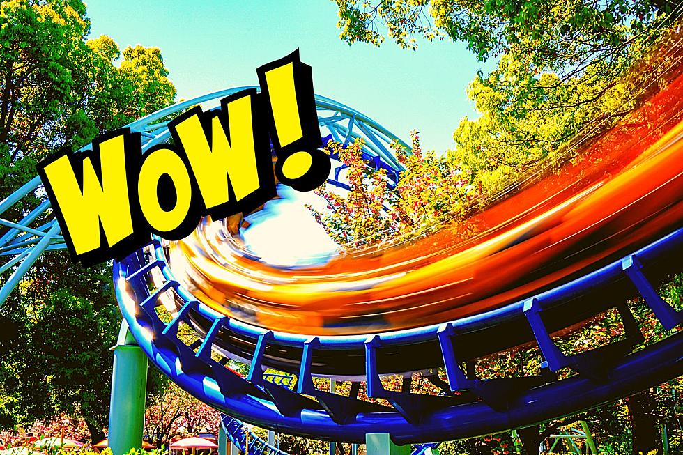 Summer Will Be A Killer Ride If You Hit One Of These Theme Parks