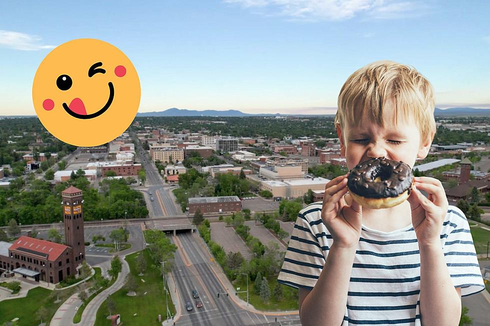 Best Places For Grabbing Delicious Donuts In Great Falls!