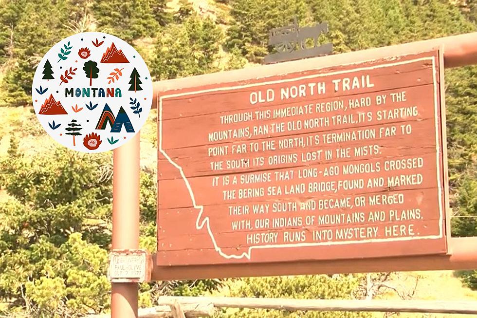 Montana’s Hidden Gem: The Secrets of the Old North Trail