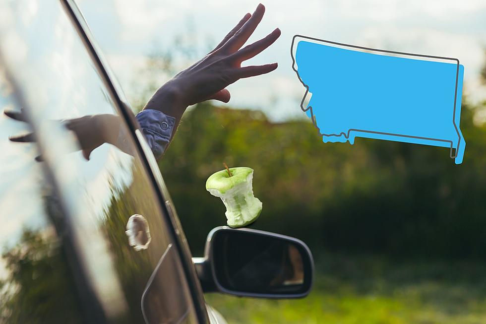 Is It Illegal To Toss Food Out Of Your Car Window In Montana?