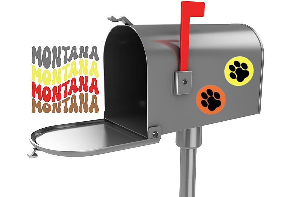 The Special Reason Behind Paw Stickers On Montana Mailboxes