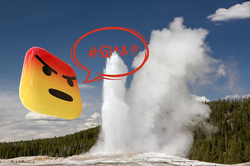 Hilariously Bad Reviews Exposed: When Old Faithful Falls Flat