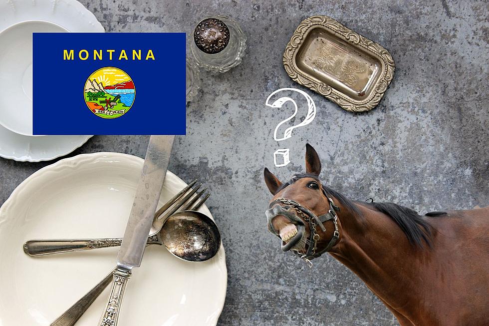 Can You Legally Eat Horse Meat In Montana?