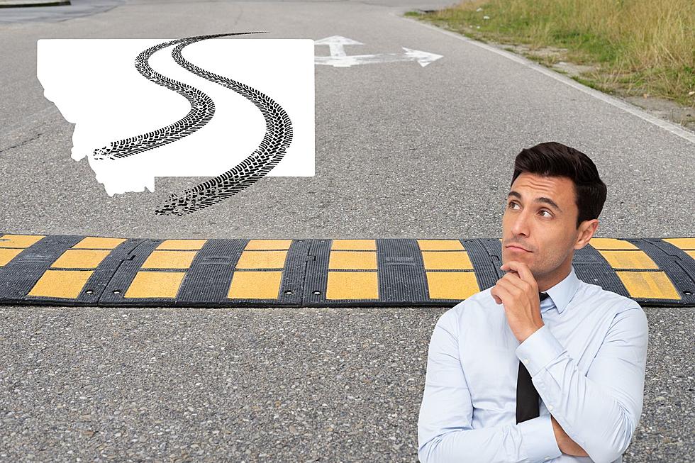 Can You Install A Speed Bump In The Street In Montana?