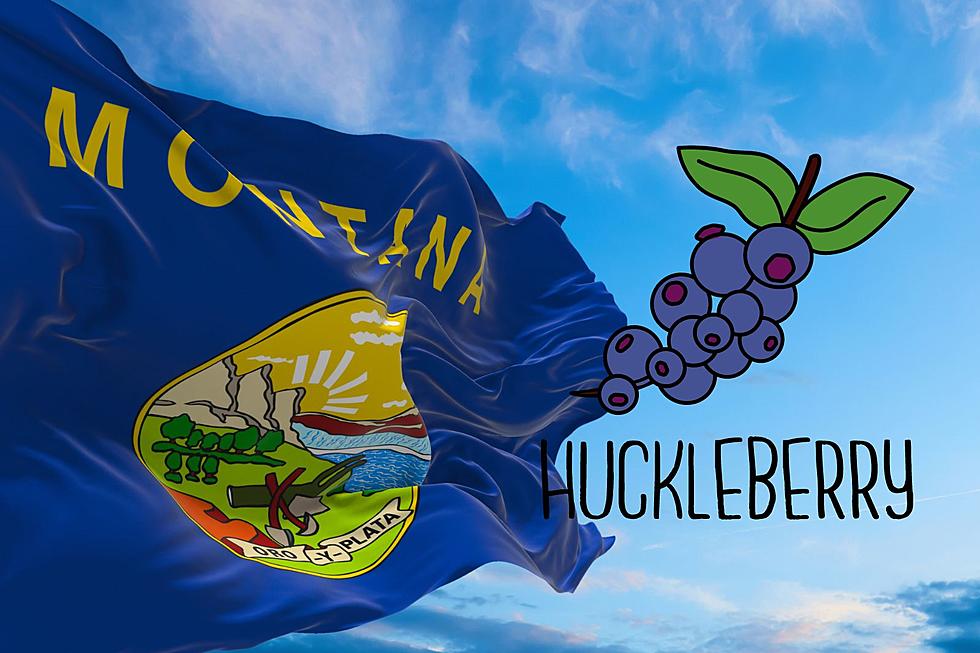 Bites Of Bliss: What You Need To Be A Huckleberry Hunting Champ