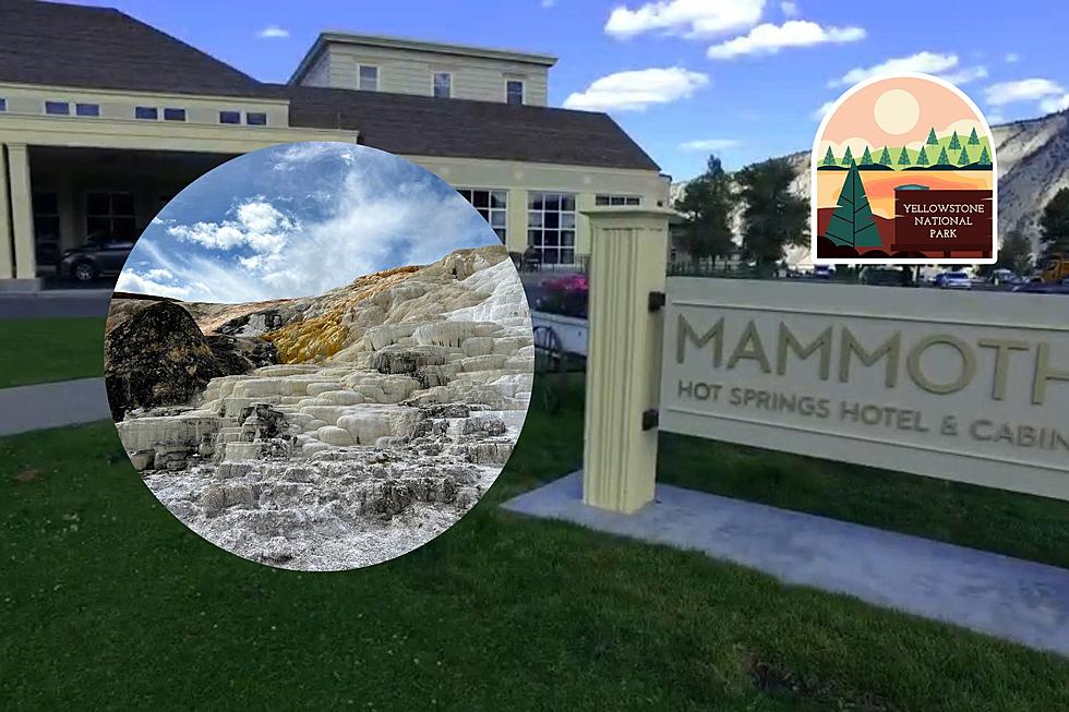 Mammoth Hot Springs And Cabins In Yellowstone Is Opening Soon