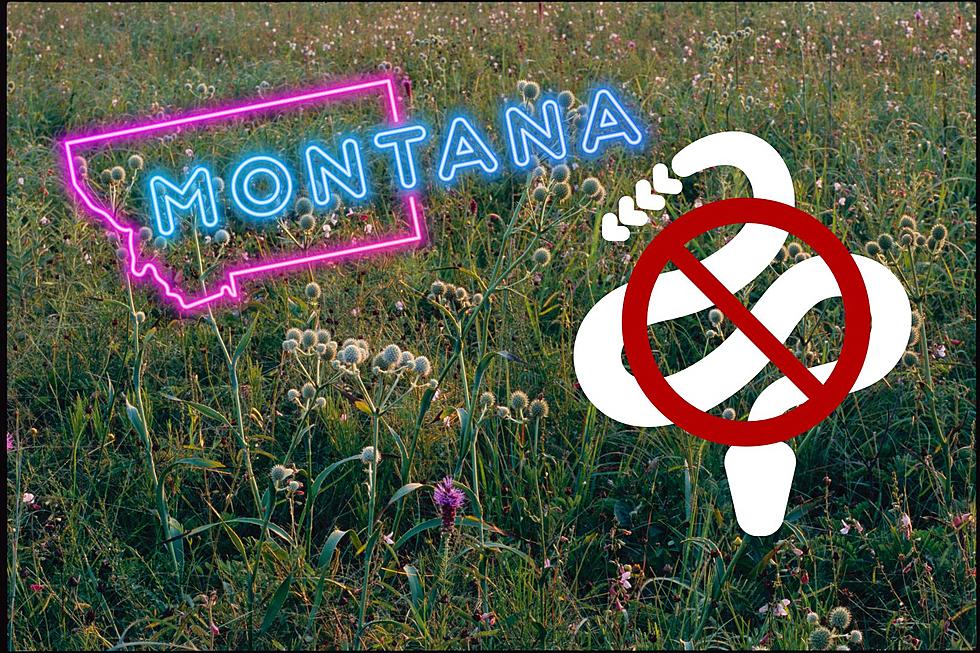 Watch Out For The Most Venomous Snake In Montana.