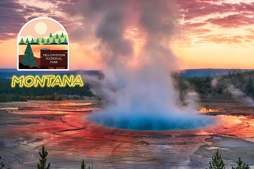Yellowstone Revealed: Expert Guided Tours for Adventure Seekers