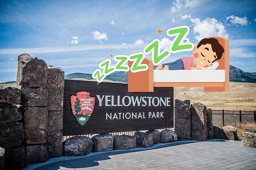 Your Home in the Park: Best Lodging in Yellowstone National Park