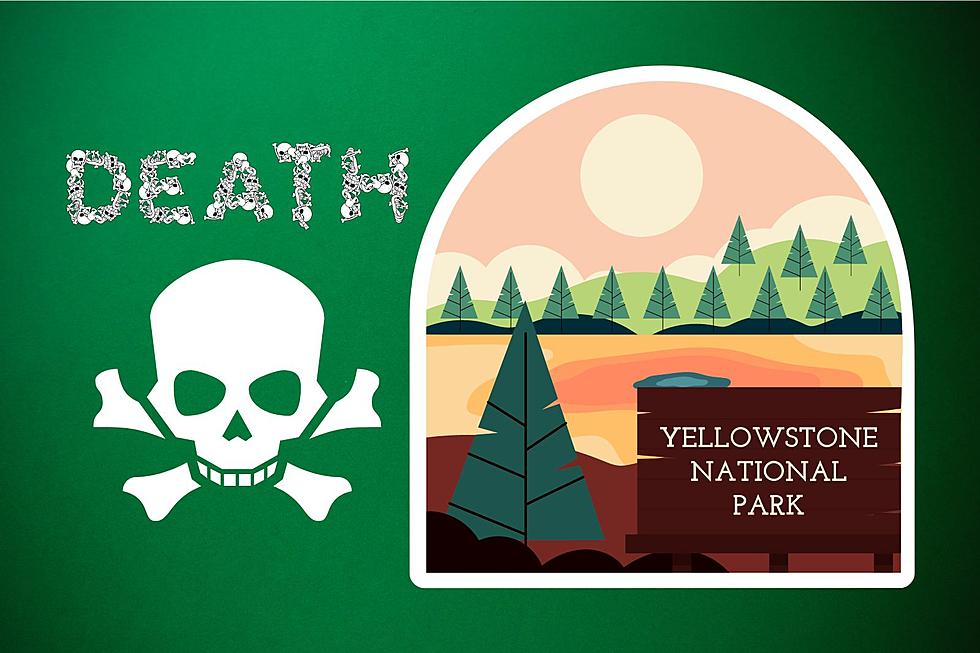 Yellowstone's Zone Of Death: Is It A Secret License To Kill?