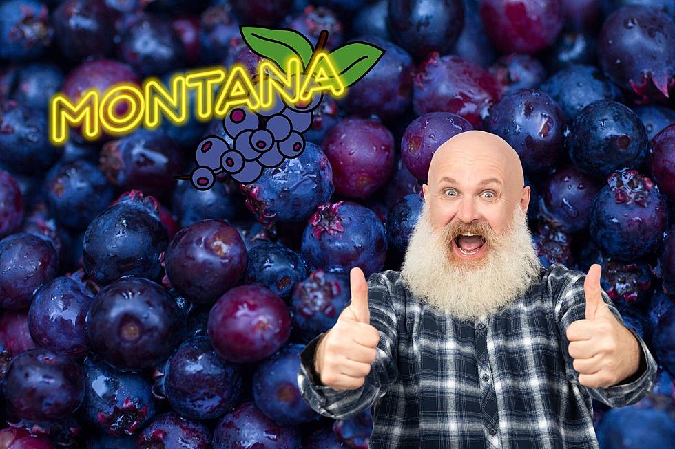 It’s Official: The Huckleberry Is Montana’s State Fruit.
