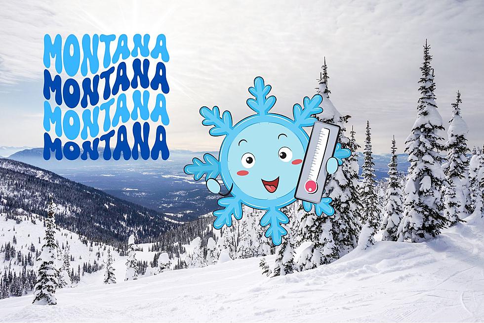 Where Does Montana Rank In The Top 10 Coldest States In America?