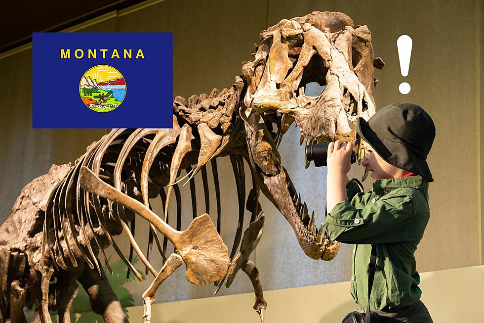Montana Is Top 3 In Dinosaur Fossil Discovery