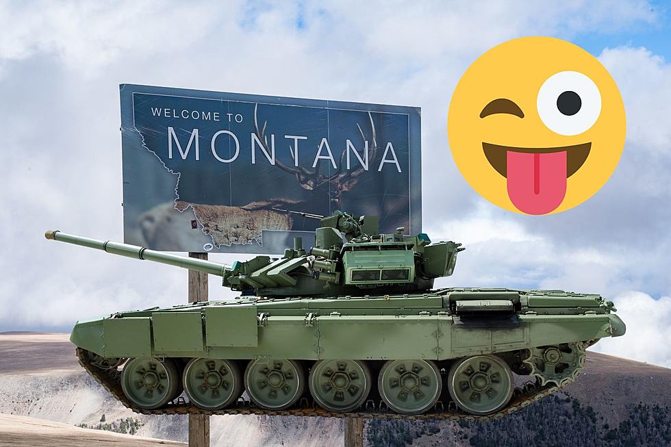 Can You Buy and or Own A Tank In Montana?