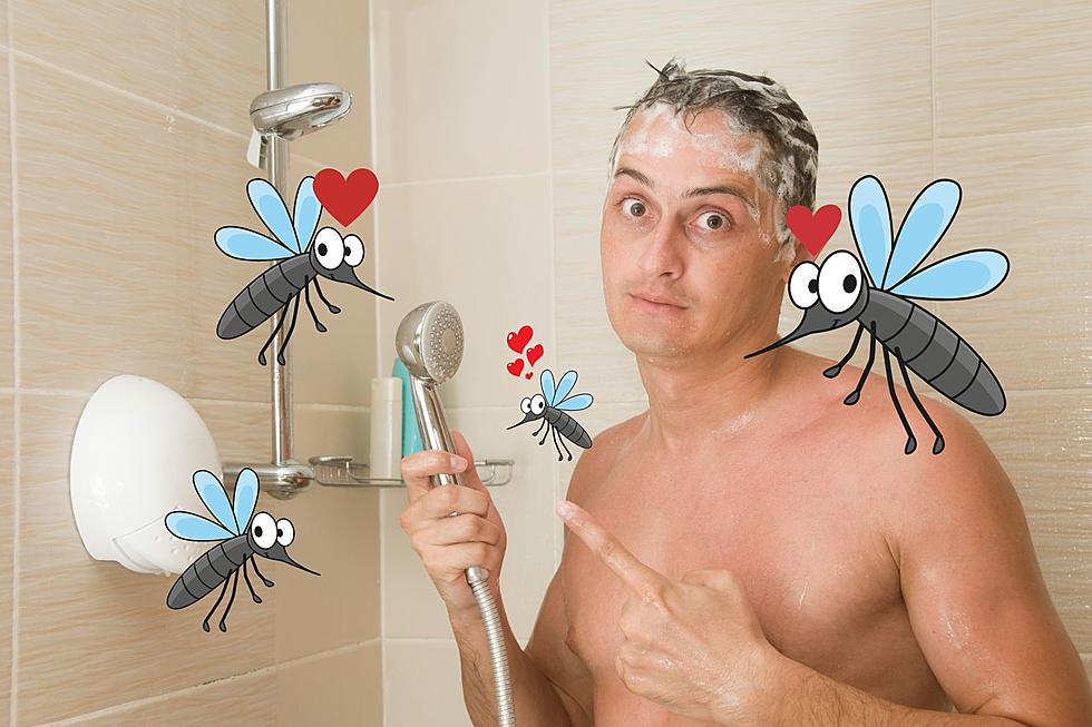 Does A Certain Body Wash Attract Mosquitos In Montana? 
