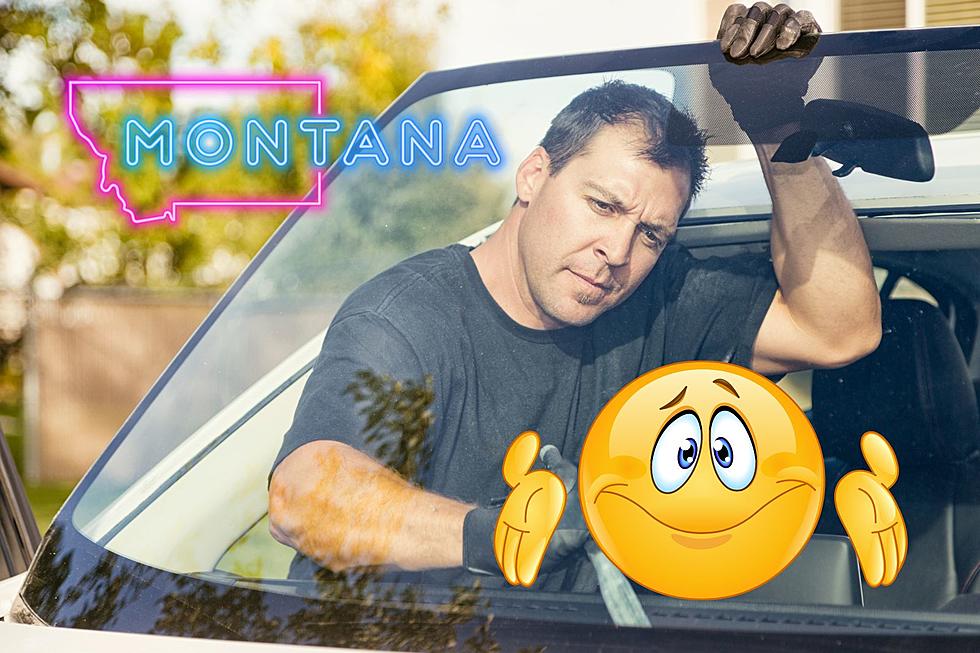 Do You NEED A Windshield In Montana? 