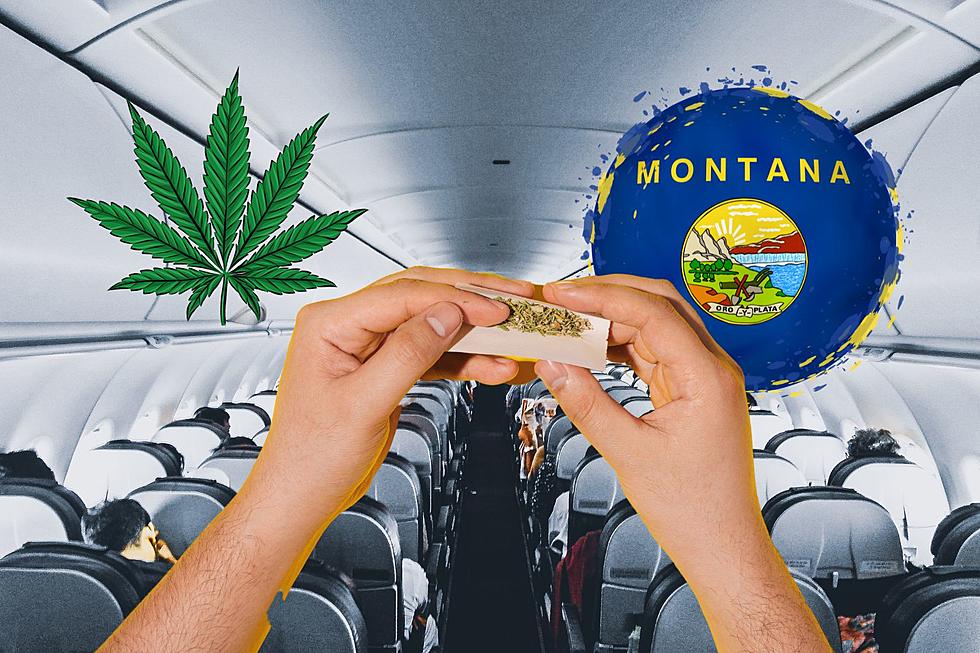 In Montana: Can You Fly With Weed In Your Pocket? 