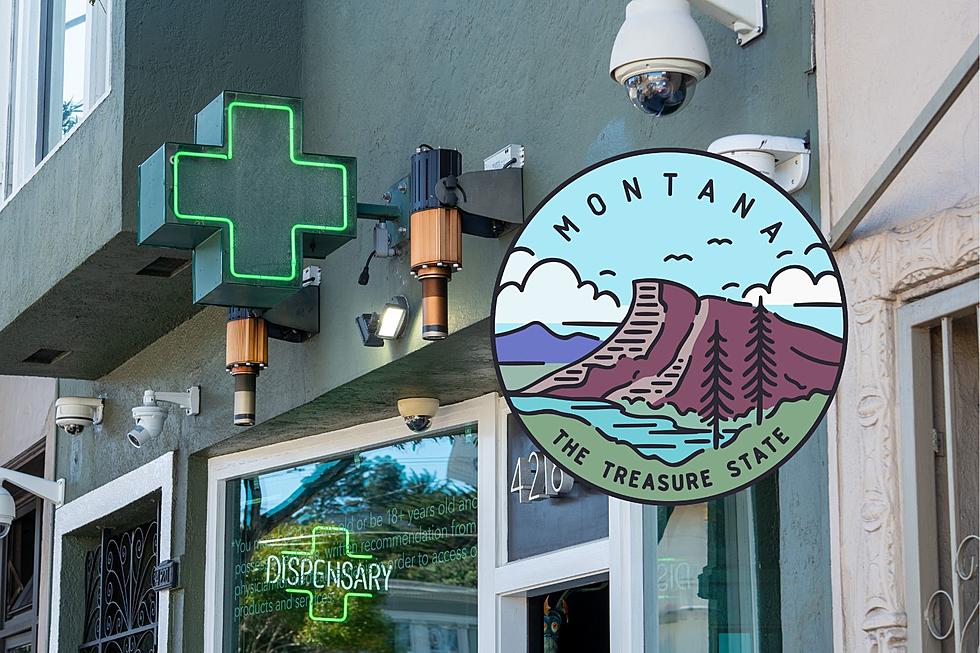 You Want To Work in Montana’s Marijuana Industry? What To Know