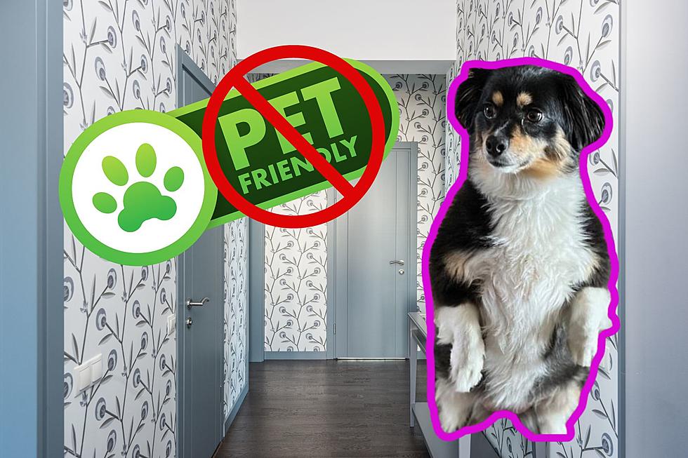 Is A Certain Room In Your House Unsafe For Pets To Access?