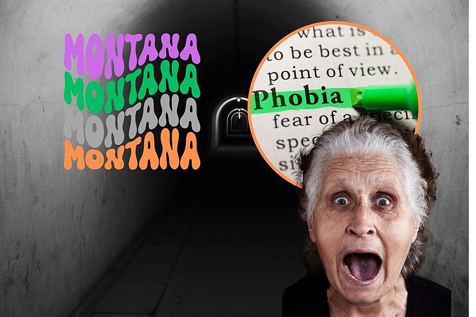 What's The Most Odd Phobia Googled By Montanans?