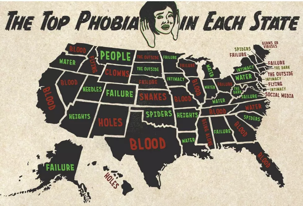 https://www.yourlocalsecurity.com/blog/2021-each-states-phobia/