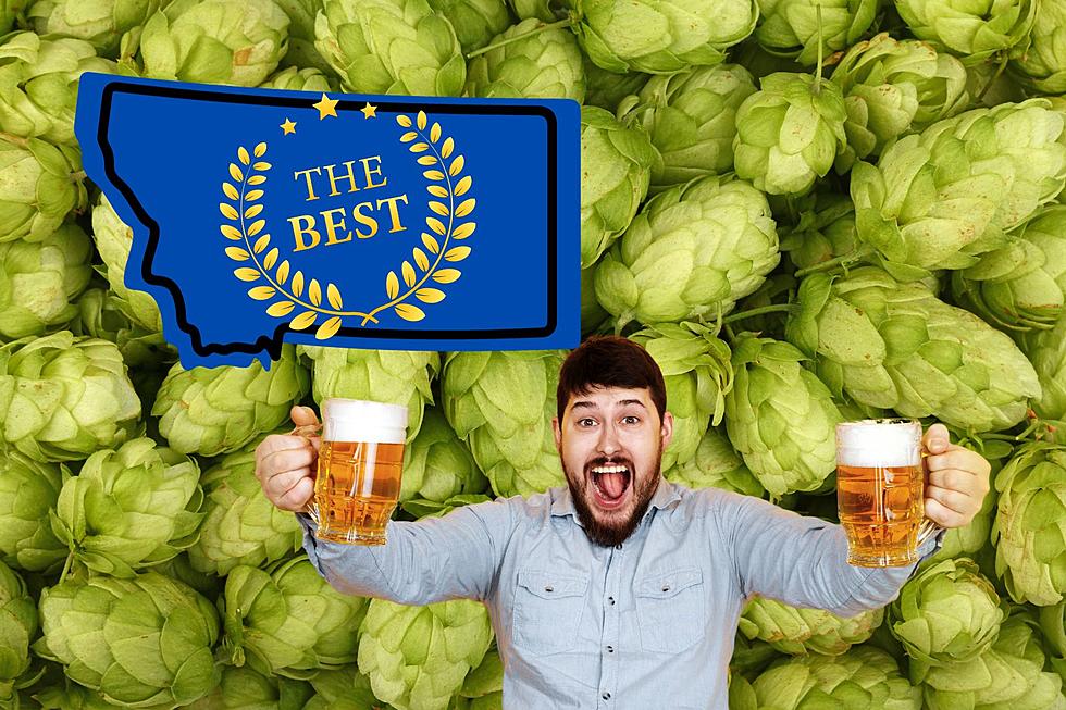 How Tasty: What's Montana's Highest-Rated IPA? 