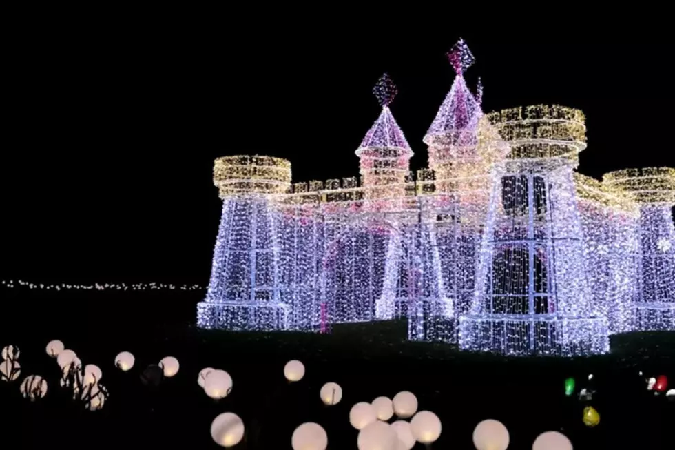 Princess castle at Zoo Montana in Christmas lights