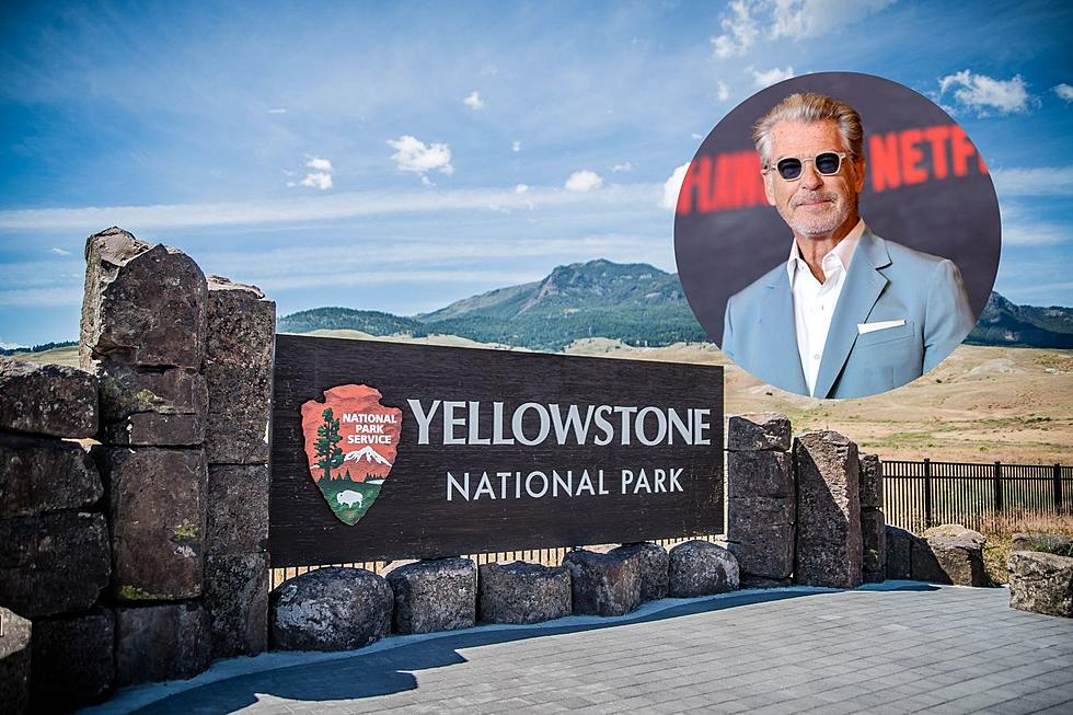The Latest Touron In Yellowstone Park? Pierce Brosnan