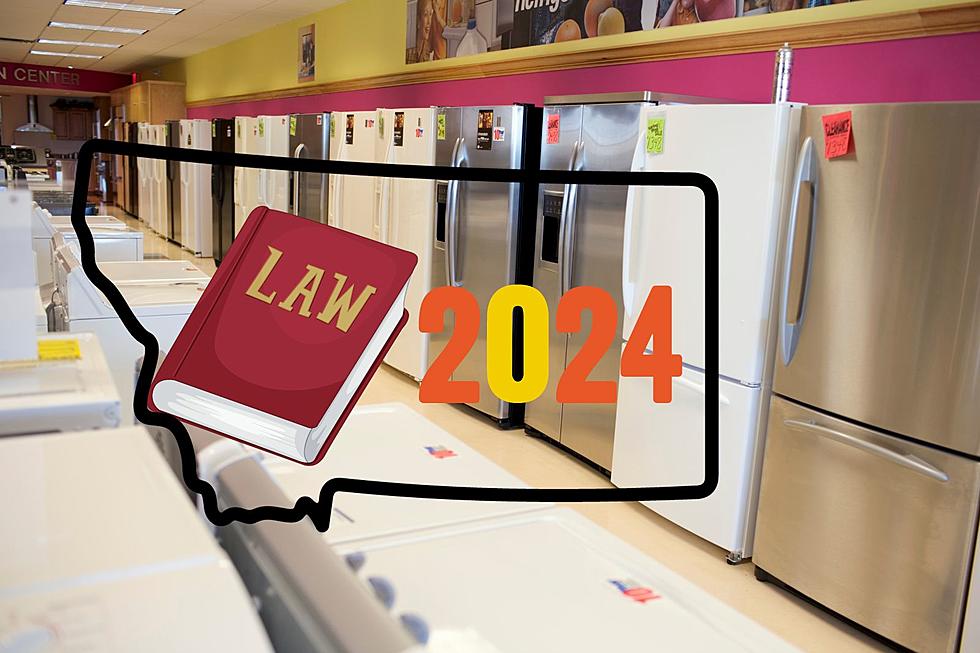 Montana Implements New Laws: Refrigerators, Internet And More