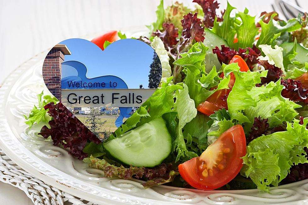 Great Falls’ Most Popular Salads As Decided By You