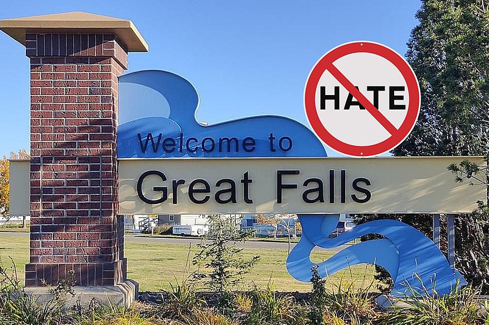Not Here Nazi! Great Falls Stands Against Hate