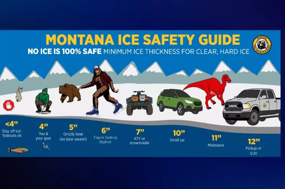 Different thickness of ice and it's safety