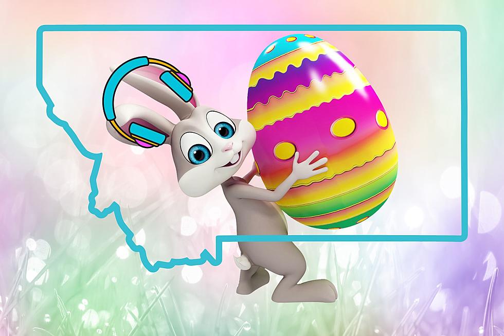 The Easter Bunny Talks MT Easter Egg Hunts: A Revealing Interview