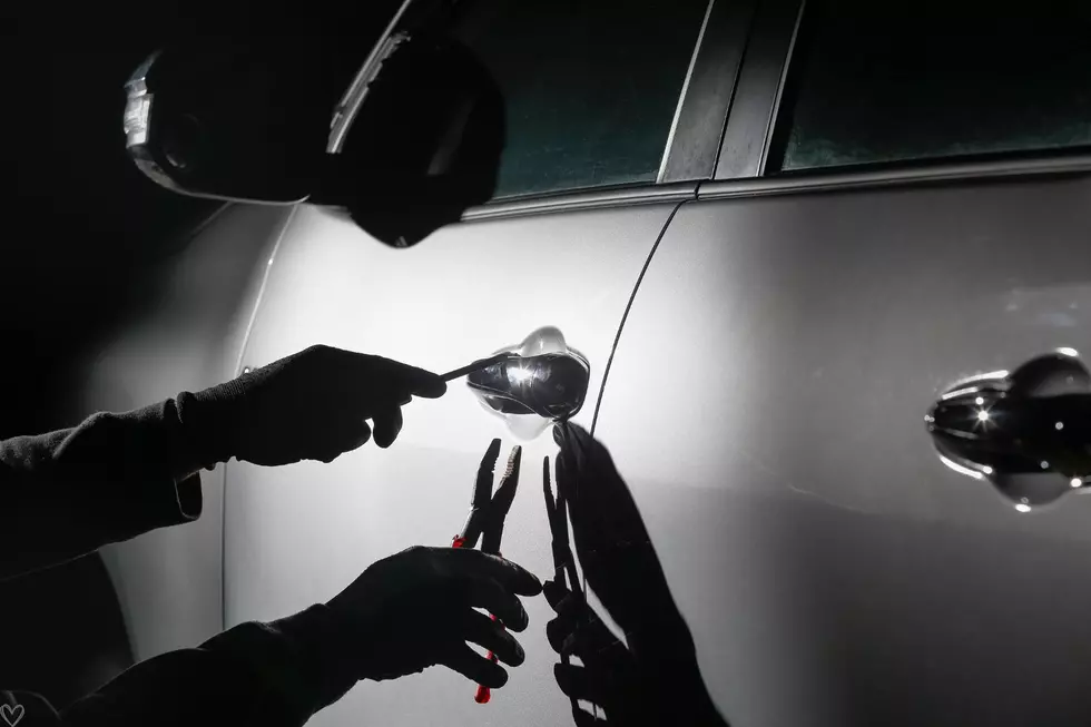 car thief great falls montana