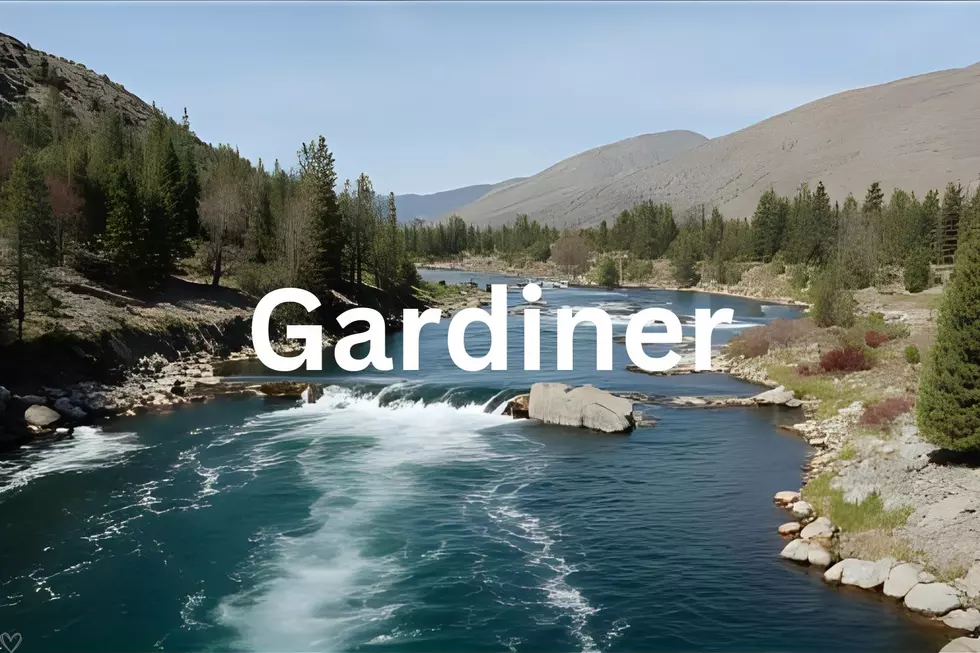 Gardiner Montana