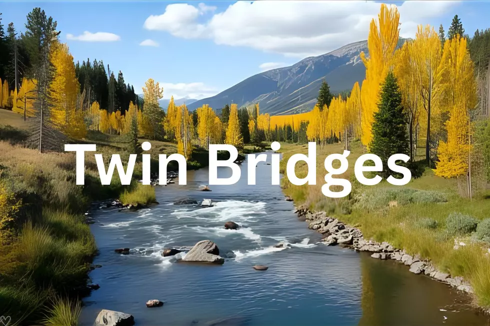 Twin Bridges Montana