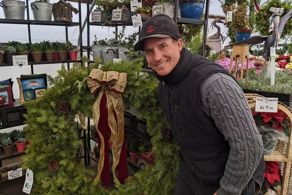Montana Tree Guru: How To Care For Your Christmas Tree
