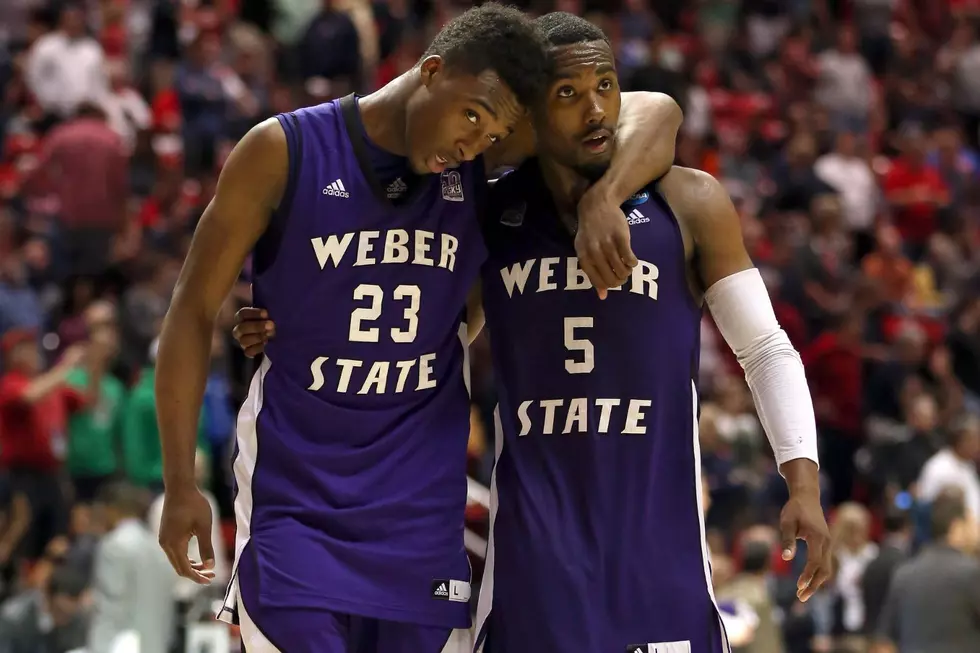 2) Weber State Wildcats - 10 Titles